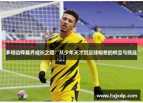 多特边锋桑乔成长之路:从少年天才到足球明星的蜕变与挑战 多特边锋桑乔成长之路:从少年天才到足球明星的蜕变与挑战